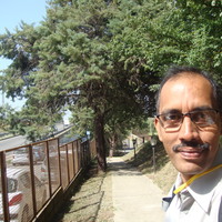 Elango L related author profile picture