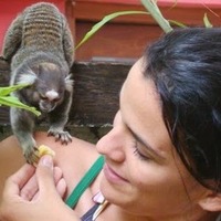 Luciana Leite related author profile picture