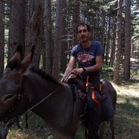 Giuseppe Simari related author profile picture
