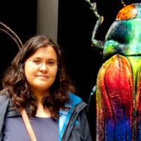 Helen De Cruz related author profile picture