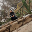 Profile image of Elham Taqiloo