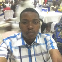 Nlandu Ngunda related author profile picture