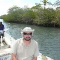 Rafael R. Robaina related author profile picture