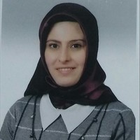 Dr. Burçin Çalışkan related author profile picture