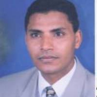 Rabie A Ramadan related author profile picture