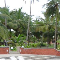 Kwesi Yaro related author profile picture