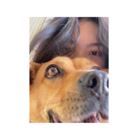 Meizi You related author profile picture