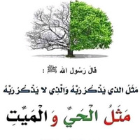 Abubakar Yusuf related author profile picture