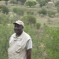 Maurice Kwékam related author profile picture