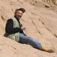 Yasser Osman related author profile picture