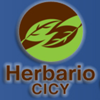 Desde el Herbario CICY  - Herbario CICY related author profile picture
