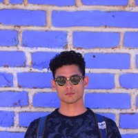 Vitor Nisida related author profile picture