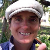 Laura Cecilia Sanchez related author profile picture
