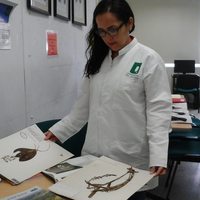 Mannelly Ramírez related author profile picture