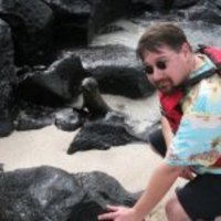 Chris Parsons related author profile picture