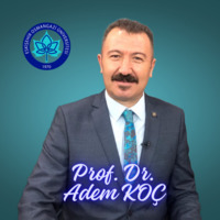 Adem Koç related author profile picture