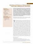 Research paper thumbnail of Identifying Soil Patterns at Different Spatial Scales with a Multi-Receiver EMI Sensor