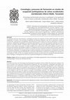 Research paper thumbnail of Cronología y procesos de formación en niveles de ocupación prehispánicos de selvas occidentales meridionales (Horco Molle, Tucumán)