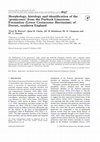 Research paper thumbnail of Morphology, histology and identification of the ‘granicones’ from the Purbeck Limestone Formation (Lower Cretaceous: Berriasian) of Dorset, southern England