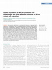 Research paper thumbnail of Spatial regulation of MCAK promotes cell polarization and focal adhesion turnover to drive robust cell migration