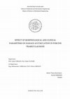 Research paper thumbnail of Effect of Morphological and Clinical Parameters on Damage Accumulation in Porcine Trabecular Bone