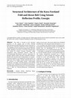Research paper thumbnail of Detection of Cavity Using Electrical Resistivity Tomography (ERT) at Patherdih, Jharia Coal Field, Dhanbad, India