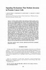 Research paper thumbnail of Signaling Mechanisms That Mediate Invasion in Prostate Cancer Cells
