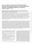 Research paper thumbnail of Loss of Cellulose Synthase-Like F6 Function Affects Mixed-Linkage Glucan Deposition, Cell Wall Mechanical Properties, and Defense Responses in Vegetative Tissues of Rice      