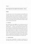 Research paper thumbnail of Room-Temperature Ionic Liquids for Electrochemical Capacitors