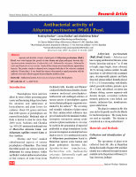 Research paper thumbnail of Antibacterial activity of Athyrium pectinatum
