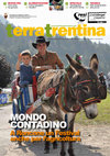 Research paper thumbnail of Mantenere la tipicità in un mondo che cambia