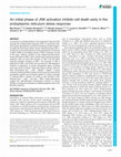 Research paper thumbnail of An initial phase of JNK activation inhibits cell death early in the endoplasmic reticulum stress response