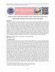 Research paper thumbnail of Sources of Child Labor Among Primary School Students in Punjab Province