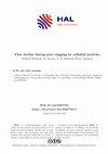 Research paper thumbnail of Flow decline during pore clogging by colloidal particles