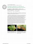 Research paper thumbnail of First Report of Melampsora euphorbiae on Poinsettia (Euphorbia pulcherrima) in Norway