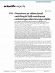 Research paper thumbnail of Photoinduced bidirectional switching in lipid membranes containing azobenzene glycolipids