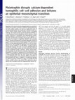Research paper thumbnail of Pleiotrophin disrupts calcium-dependent homophilic cell–cell adhesion and initiates an epithelial–mesenchymal transition