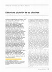 Research paper thumbnail of Estructura y función de las citocinas
