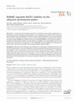 Research paper thumbnail of RAB40C regulates RACK1 stability via the ubiquitin–proteasome system