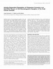 Research paper thumbnail of Activity-dependent regulation of potassium currents in an identified neuron of the stomatogastric ganglion of the crab Cancer borealis