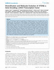 Research paper thumbnail of Diversification and Molecular Evolution of ATOH8, a Gene Encoding a bHLH Transcription Factor