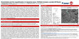 Research paper thumbnail of Brownfields and the requalification of industrial areas: FEPASA Complex (Jundiaí-SP/Brazil)
