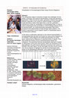 Research paper thumbnail of Visualisation of Archaeological Data Using Voronoi Diagrams