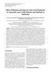 Research paper thumbnail of Effect of Biomass and Sugar in Citric Acid Production by Aspergillus niger Using Molasses and Jackfruit as Substrates