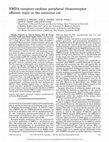 Research paper thumbnail of afferent input in the conscious rat NMDA receptors mediate peripheral chemoreceptor