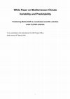 Research paper thumbnail of White Paper on Mediterranean Climate Variability and Predictability Positioning