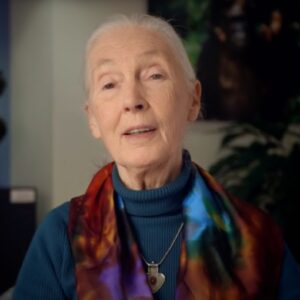 screenshot of Jane Goodall