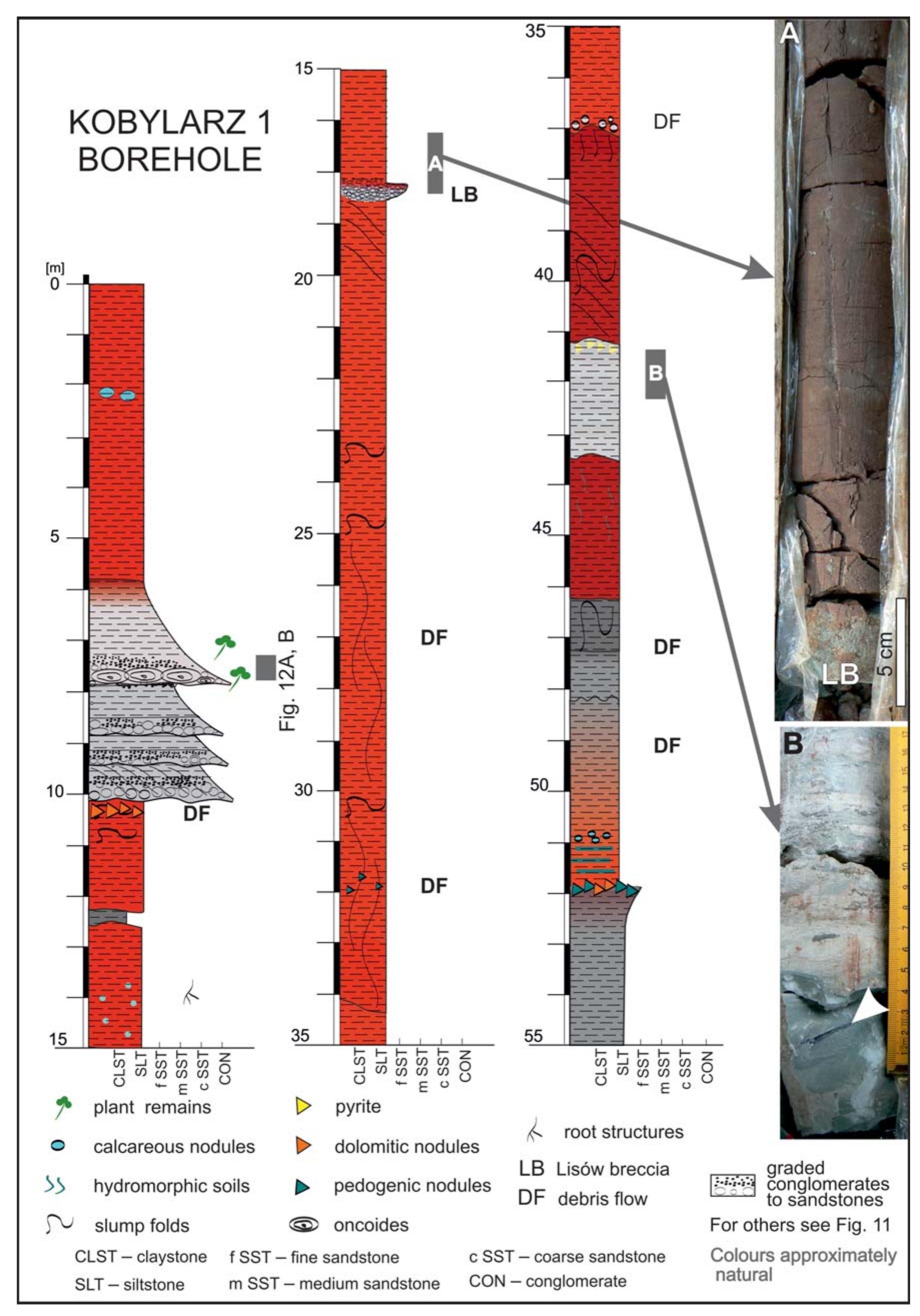 Fig. 13. Lithological section of the middle Keuper succession in the Kobylarz | drill core (see Fig. 12A, B). A. Isolated bone (arrowed) in grey marly mudstone interval (depth 41.2—42.2 m). B. Reworked vadoids (LB) in brownish mudstone (depth 16.2—17.3 m). 
