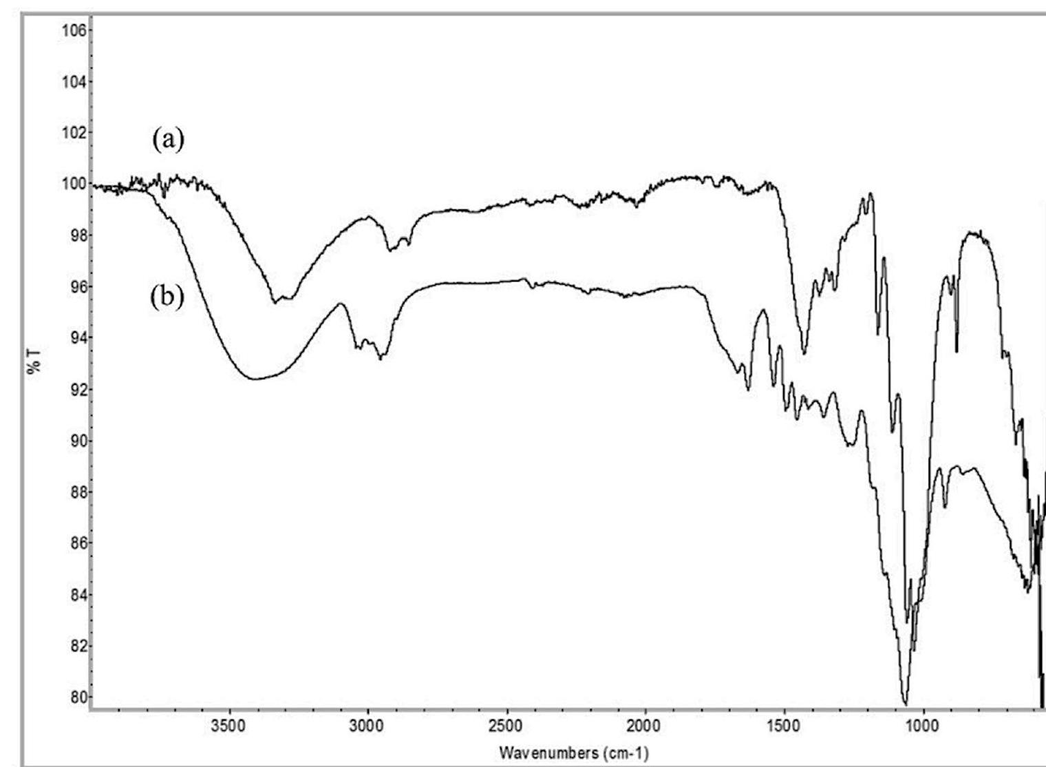 Fig. 1 FTIR spectra of a cellulose fibers and b ECH-crosslinked cellulose hydrogel 