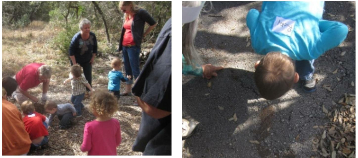 Figure 2. Nature Walk — looking for worms and ants  The highlight for many children, and a vital part of every lesson, is the nature walk. SoW facilitators, toddlers, and caretakers amble at a relaxed pace over a short, easily navigable trail (See Figures 2.). After a few visits, the children are familiar with the trail since they use the same one each time. They squat and probe, looking for items related (or unrelated!) to the lesson’s to pic. (See Appendix B for themes.) Both Park educators Susan and Peggy  locate most of the activities outdoors. (S. Campbell, personal communication, February 28, 2014; P. Spring, personal communication, March 20, 2014). 